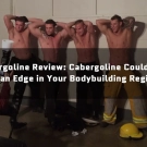 Cabergoline Review: Cabergoline Could Give You an Edge in Your Bodybuilding Regimen